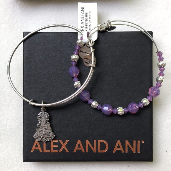 Alexa and Ani bracelet - Picture 1 of 4